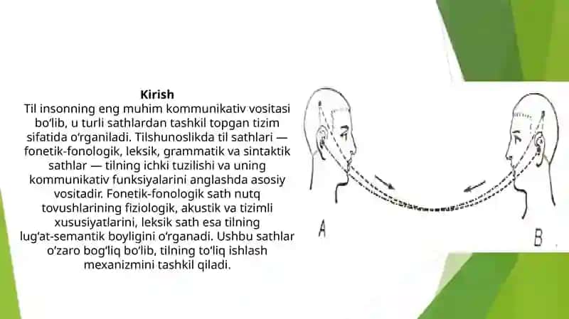 Fonetik-fonologik va leksik sath 2