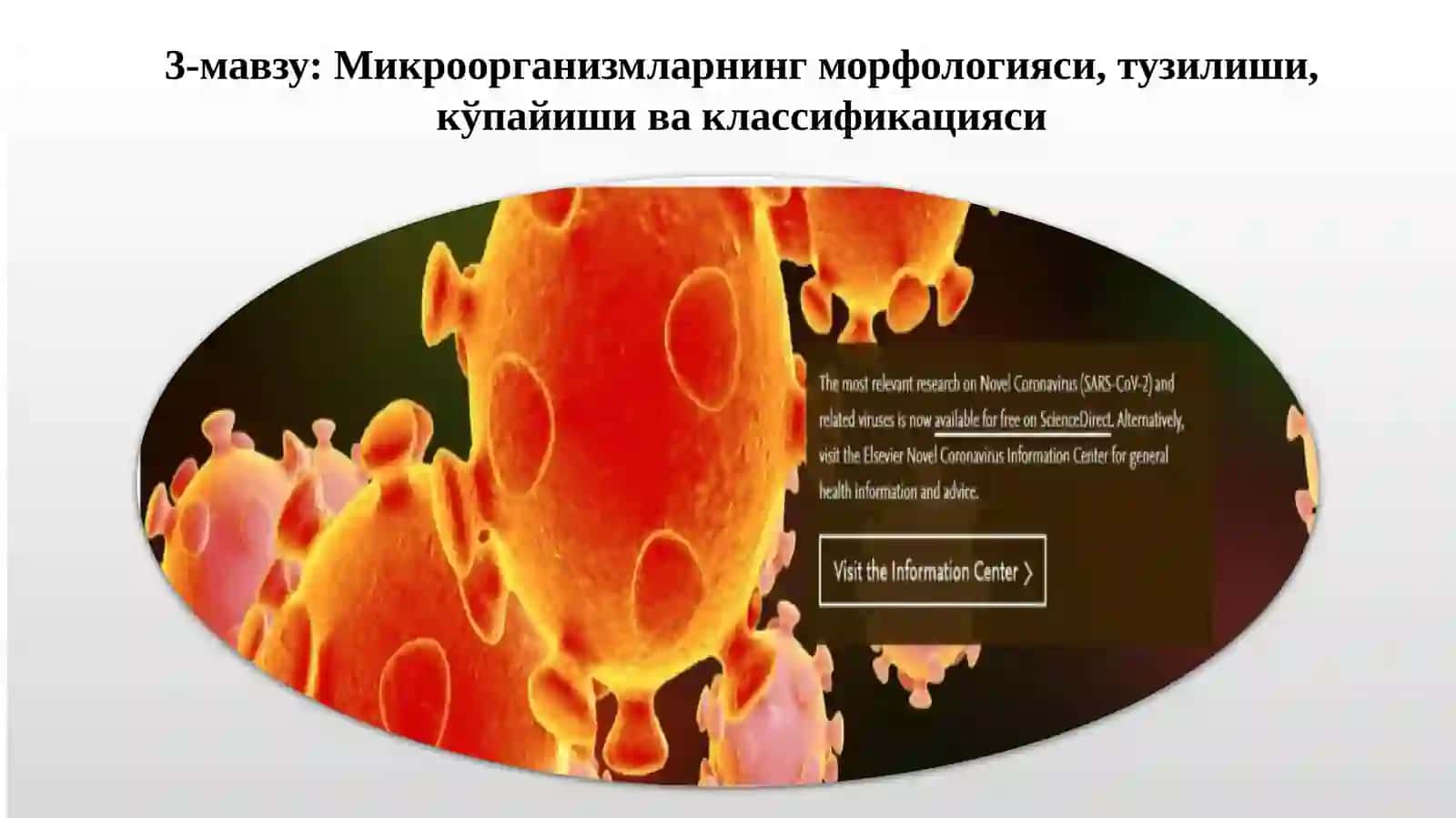 Микроорганизмларнинг морфологияси, тузилиши, кўпайиши ва классификацияси 2
