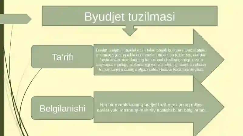 Davlat byudjeti daromadlari tushunchasi va tizimi 2