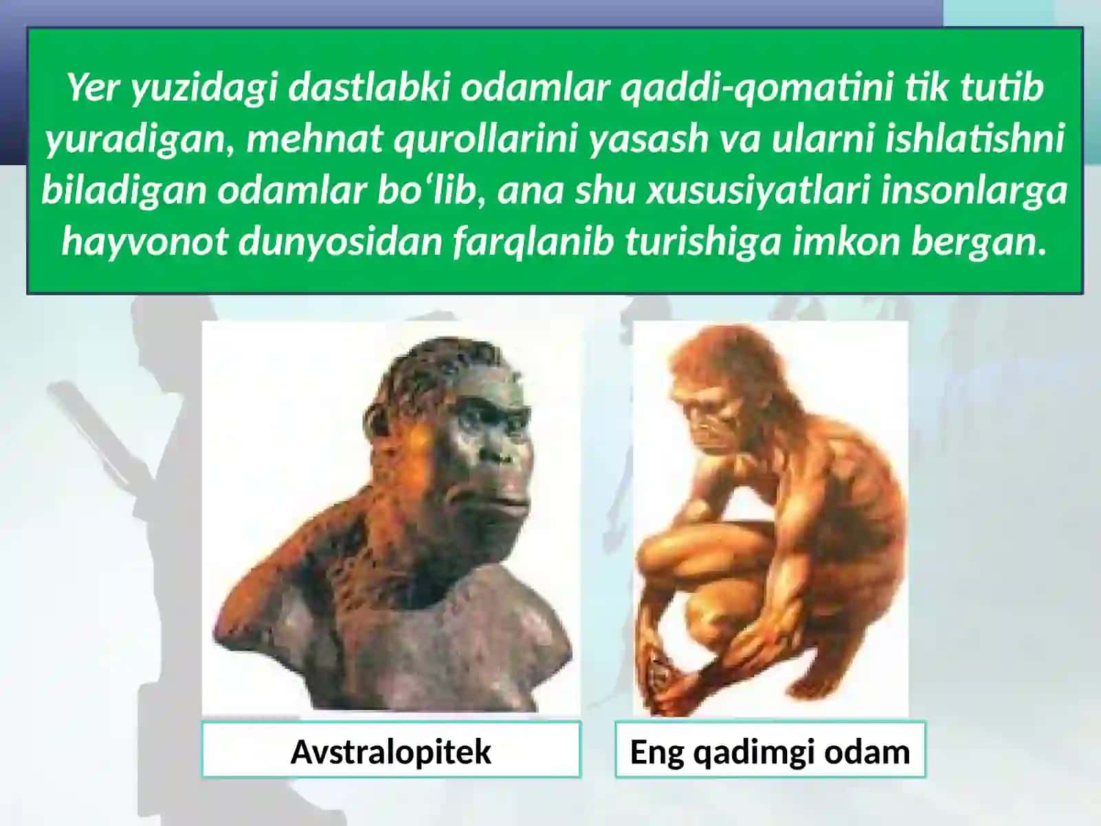 Eng qadimgi odamlar rivojining ilk bosqichlari 2