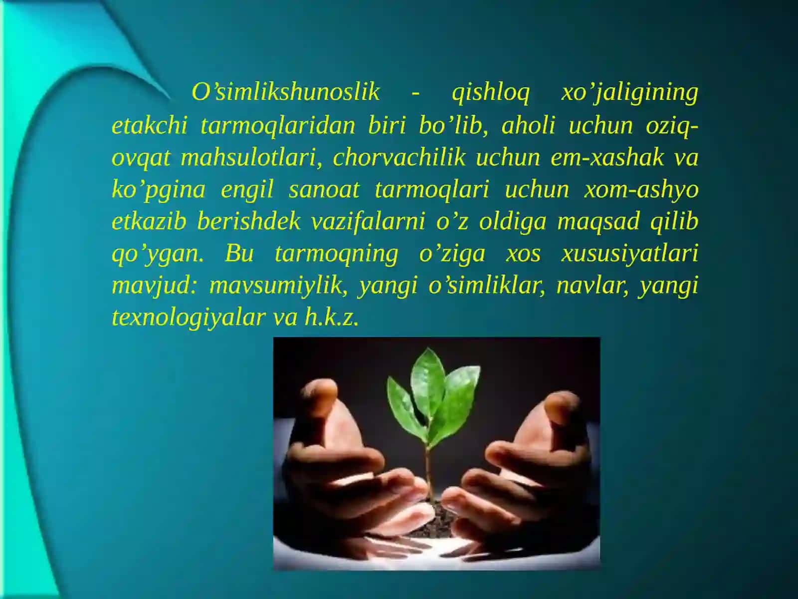 O’simlikshunоslik qishlоq хo’jаligining еtаkchi tаrmоg’i ekаnligi 2