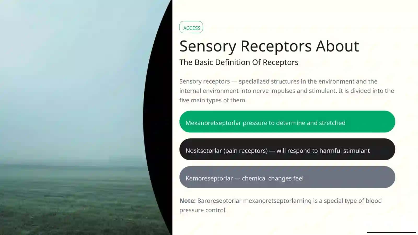ReceptorsPain, Baro - and Hemoreseptorlar 2