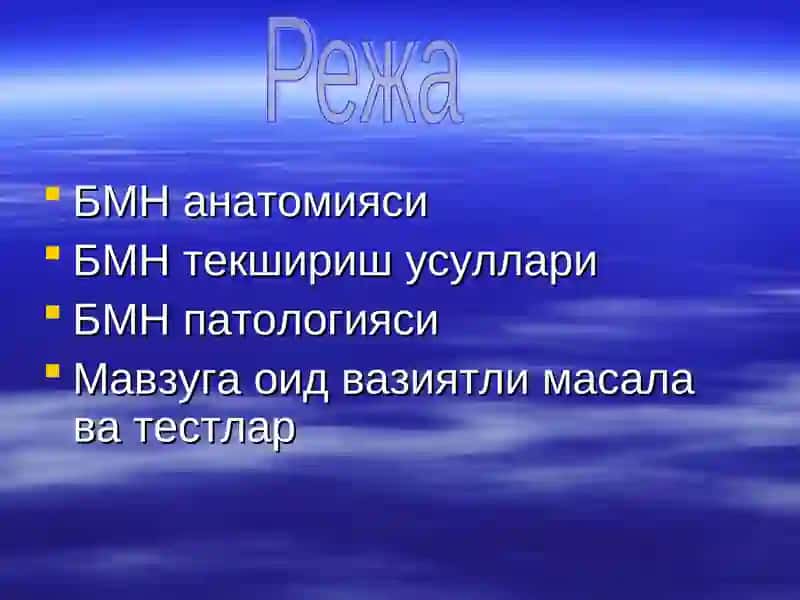 Бош мия нервлари 2