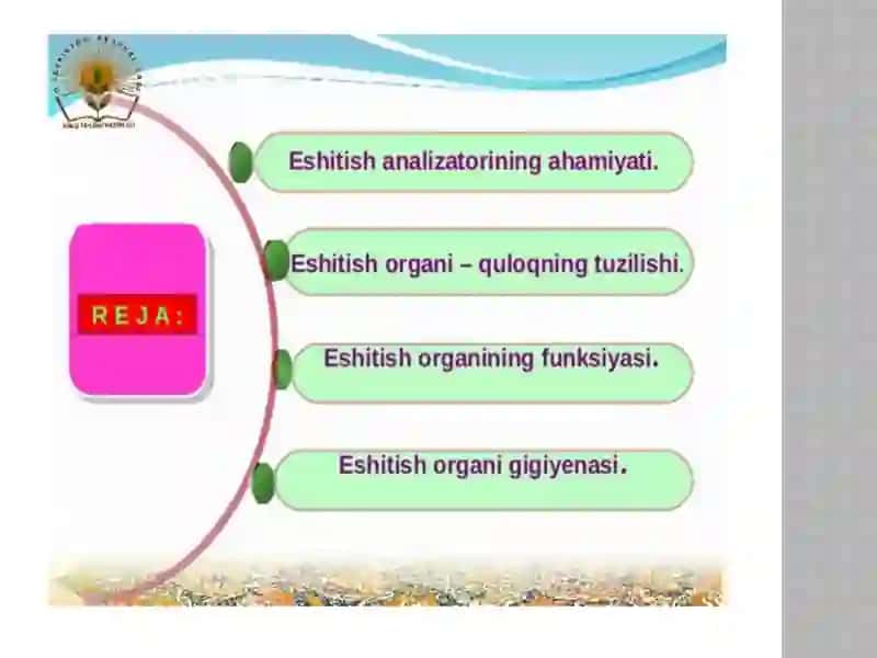 Eshitish organlarining tuzilishi, eshitish gigiyenasi 2