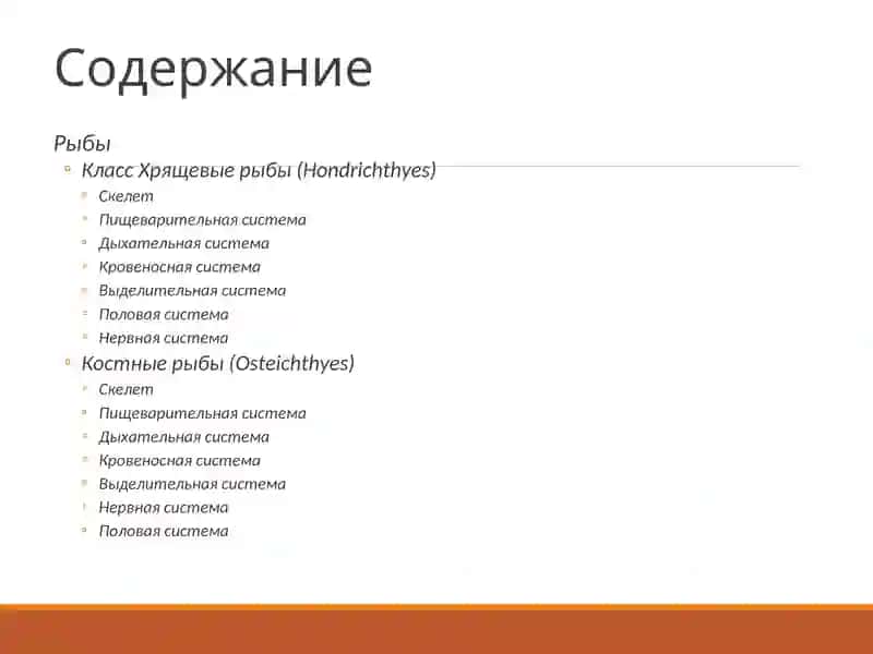 Хрящевые рыбы 2