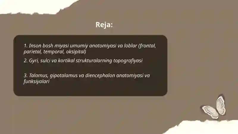 Inson bosh miyasi anatomiyasi, fiziologiyasi va patologiyasi. 2