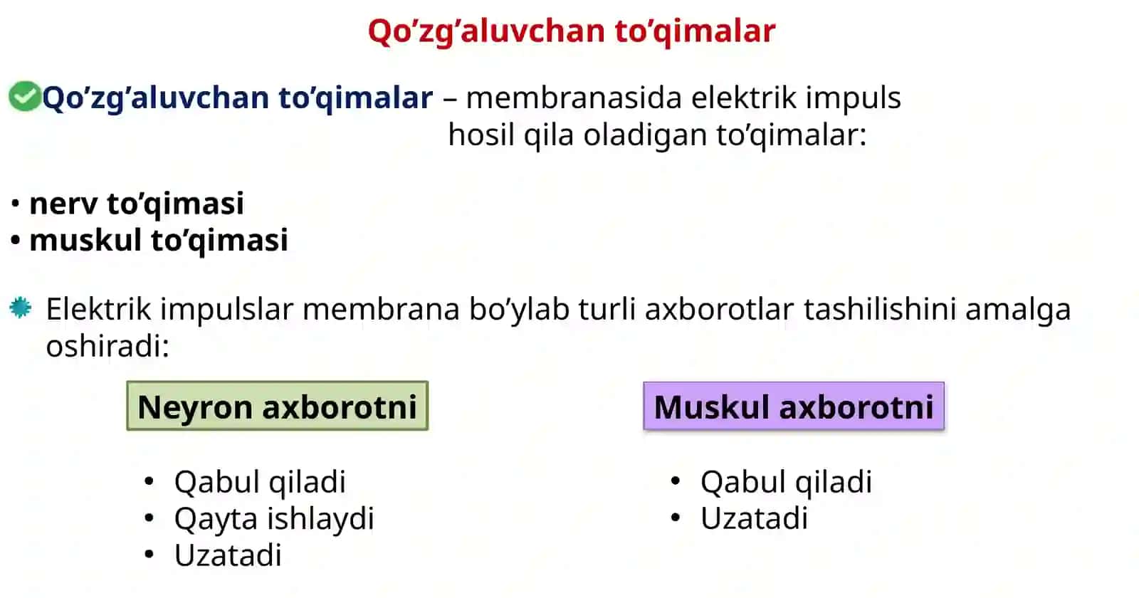Nerv sistemasi fiziologiyasi. Sinapslar. 2
