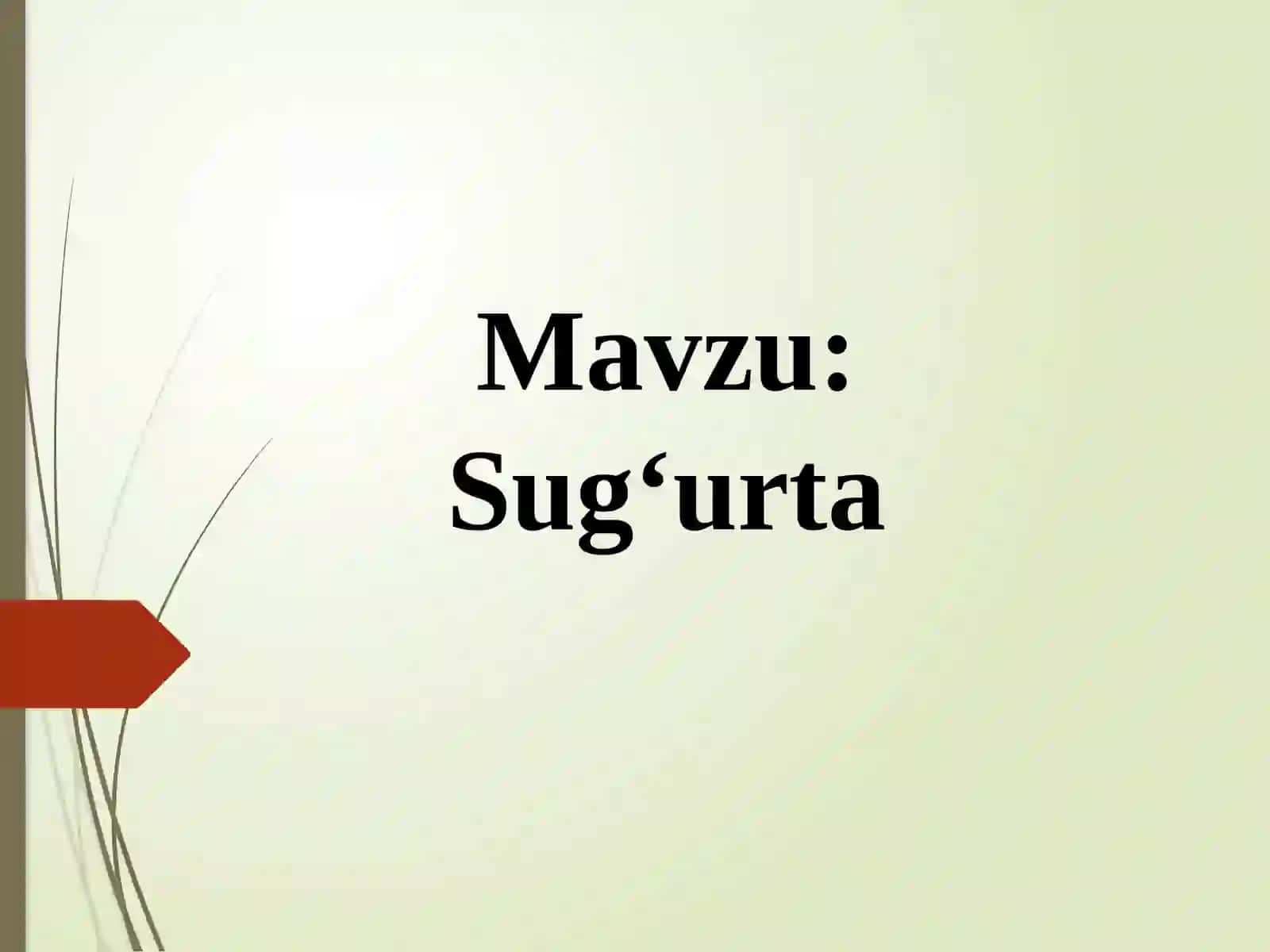 Sug`urta va uning ma'nosi 2