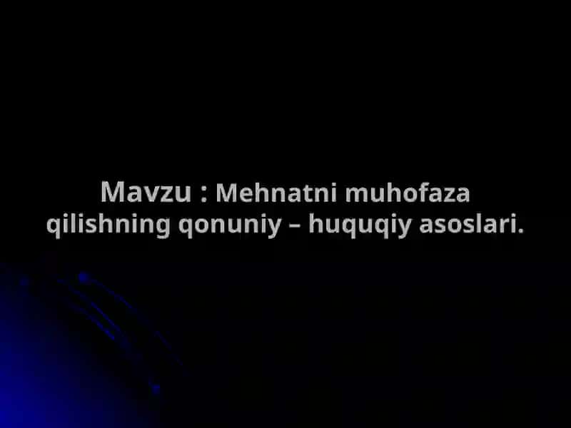 Mehnatni muhofaza qilishning qonuniy – huquqiy asoslari 2