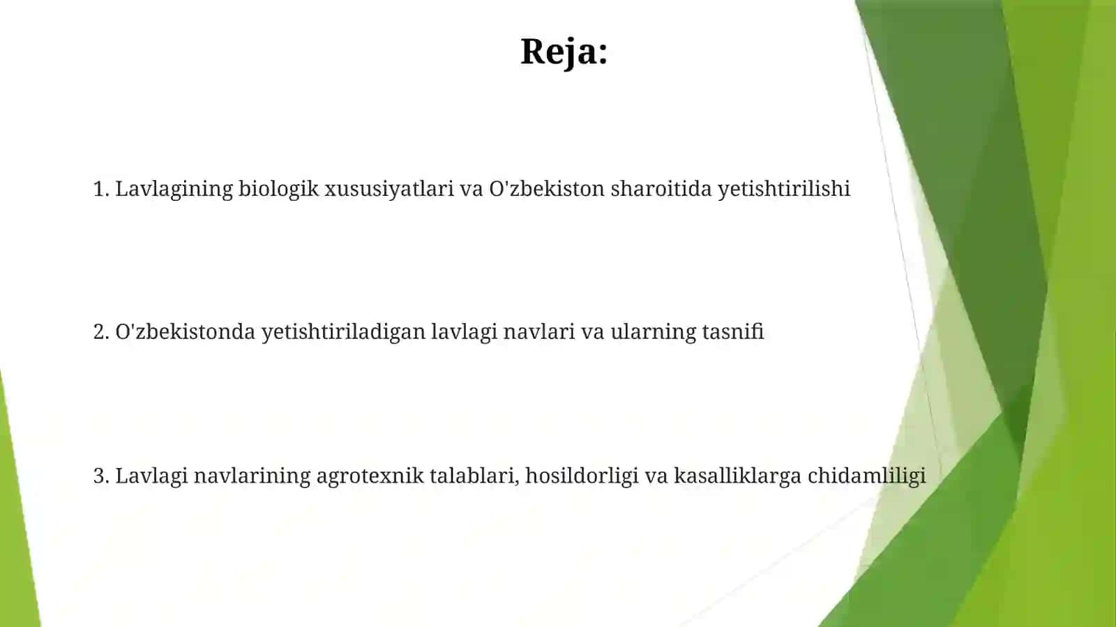 Lavlagi biologiyasi va respublikamizda yetishtiriladigan navlar 2