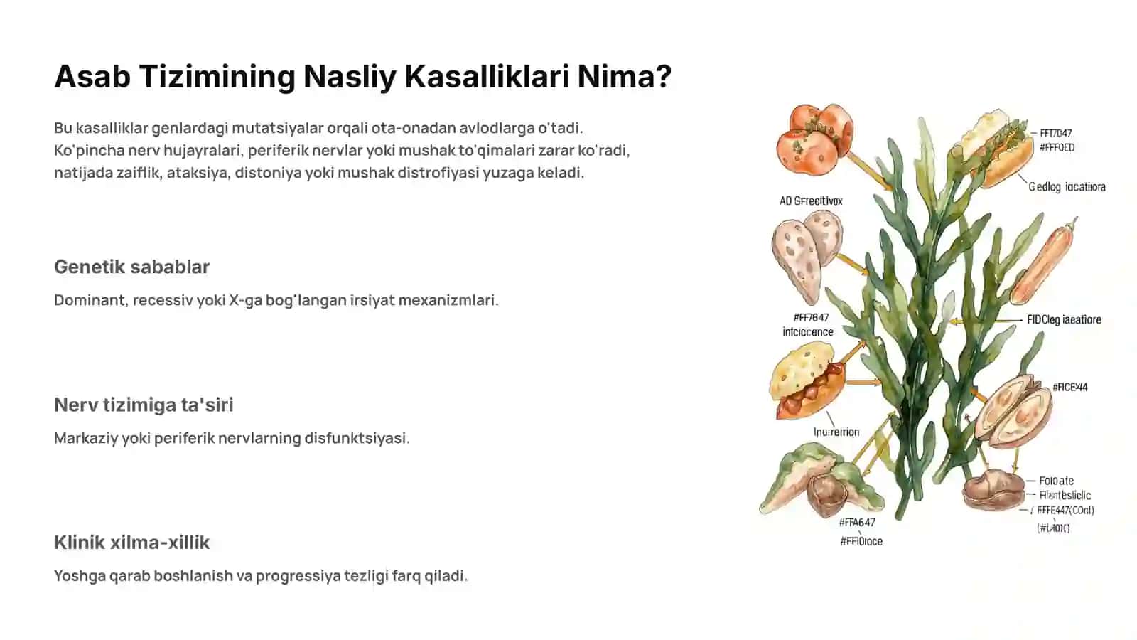Asab Tizimining Nasliy Kasalliklari: Umumiy Tushuncha 2