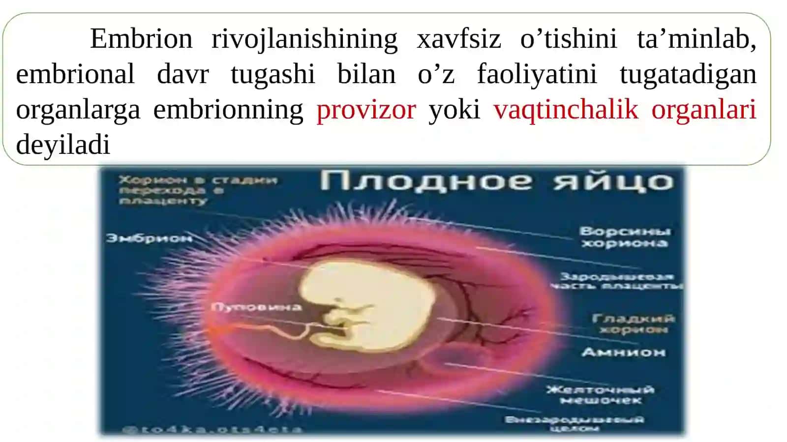 Provizora' zolarning shakllanishi 2