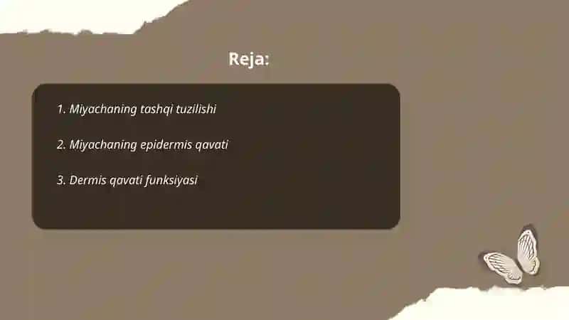Miyachaning tuzilishi 2