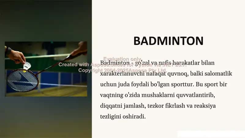 Badminton 2