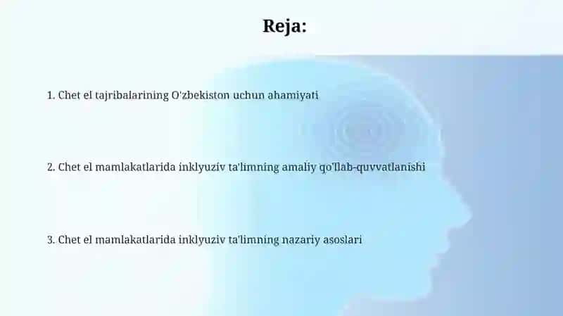 Inklyuziv talimni horijiy davlatdalarda nazariy va amaliy jihatdan qo'llab quvvatlanishi 2