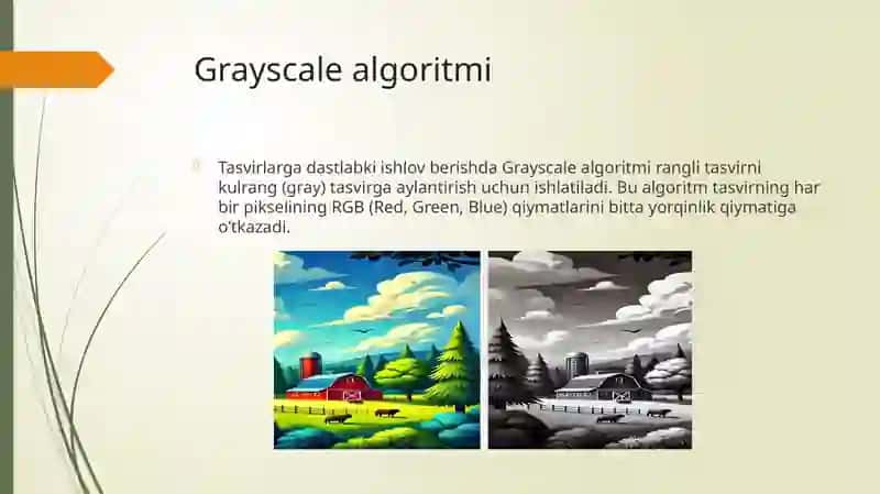 Tasvirlarga dastlabki ishlov berishda “Grayscale” algoritmi 2