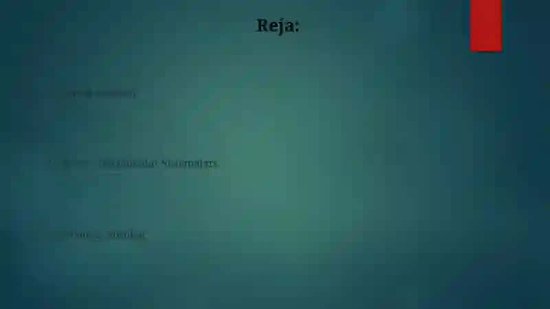 Chiziqli Tenglamalar Sistemalari 2
