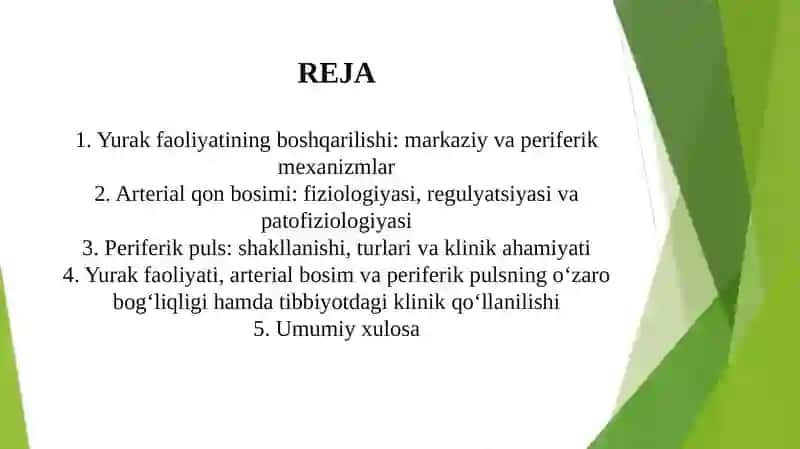 YURAK FAOLIYATINI BOSHQARILISHINI O’ZIGA XOSLIGI. ARTERIAL QON BOSIMI VA PERIFERIK PULSNI TIBBIYOTDA  AHAMIYATI 2