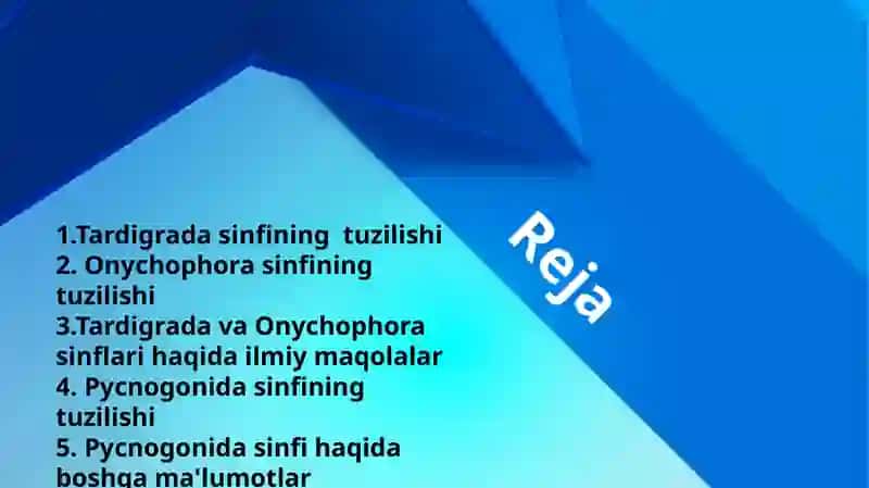 Imillab yuruvchilar (Tardigrada) va  Onixoforalar (onychophora)sinflari (Pycnogonida) dengiz oʻrgimchaklari sinfi 2