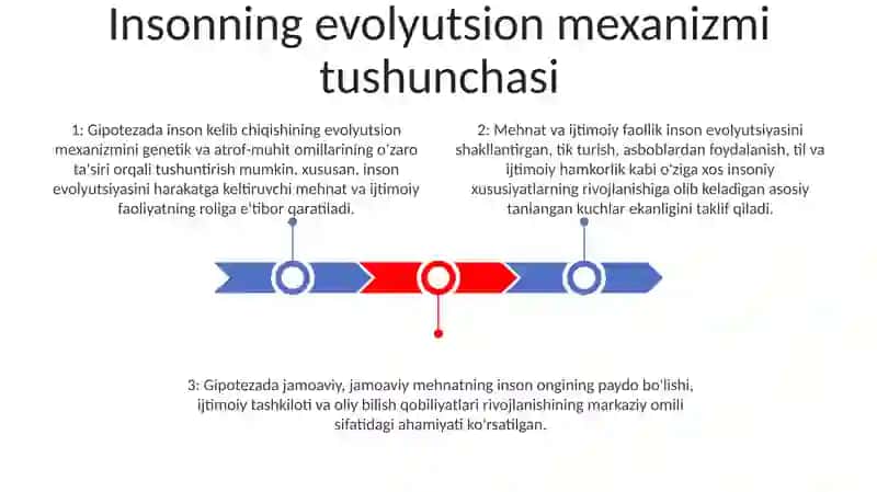 Antropogenezda Inson Evolutsion Mexanizmining Gipotezasi (V.P.Alekseev) 2