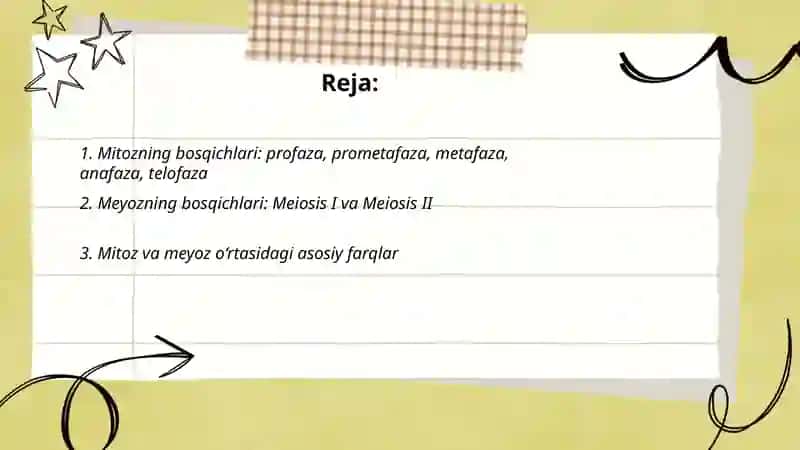 Mitoz va Meyoz 2