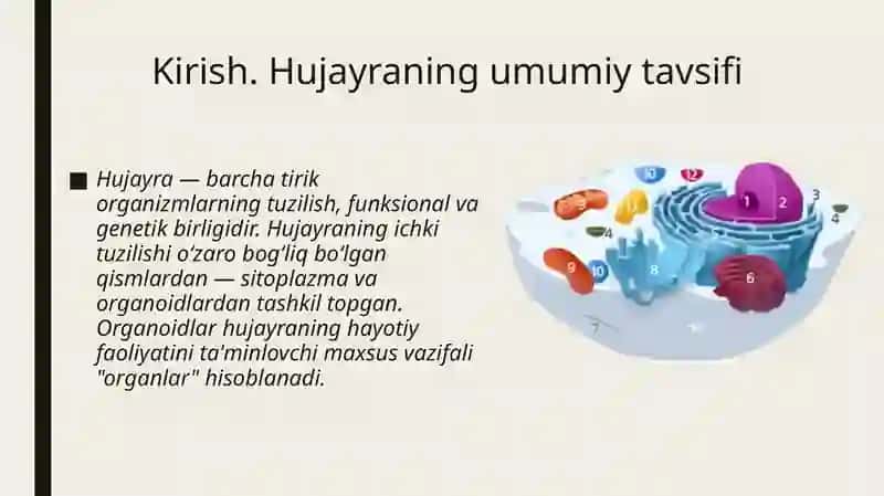 Mavzu: Sitoplazma, hujayraning membranali va membranasiz organoidlari (endoplazmatik to'r, ribosomalar, Golji majmuasi). 2