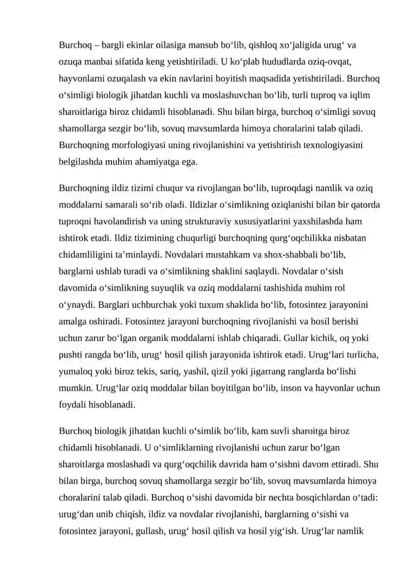 Burchoq morfologiyasi va yetishtirish texnologiyasi 2