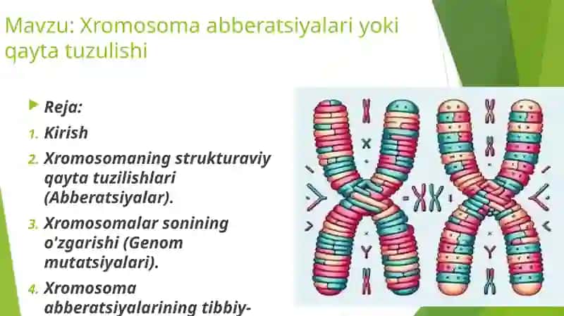 Xromosoma abberatsiyalari yoki qaytatuzulishi 2