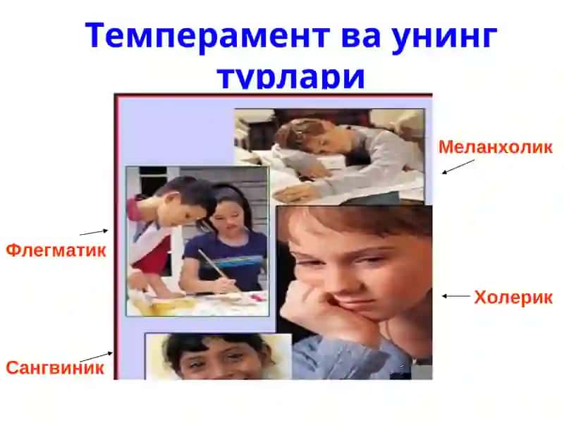 Темперамент 2