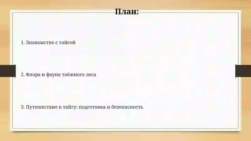 Поездка в таежный лес 2