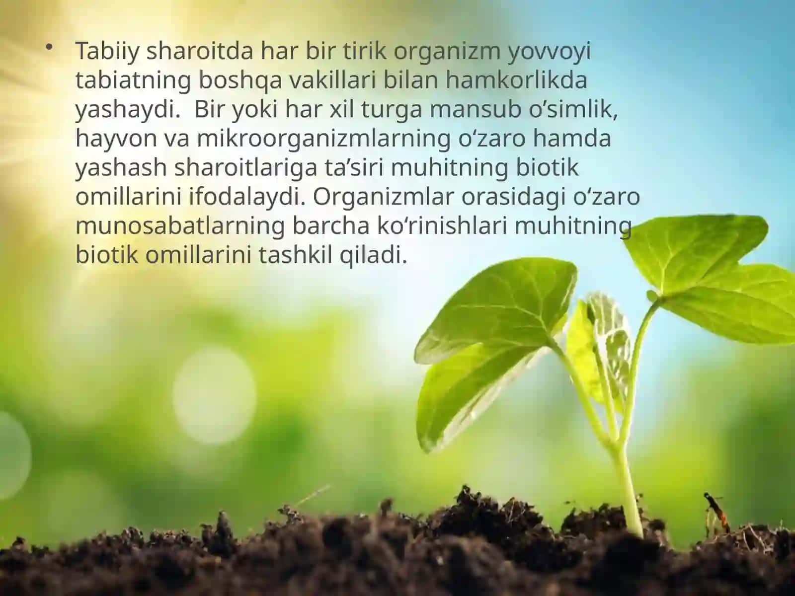 Muhitning biotik omillari 2