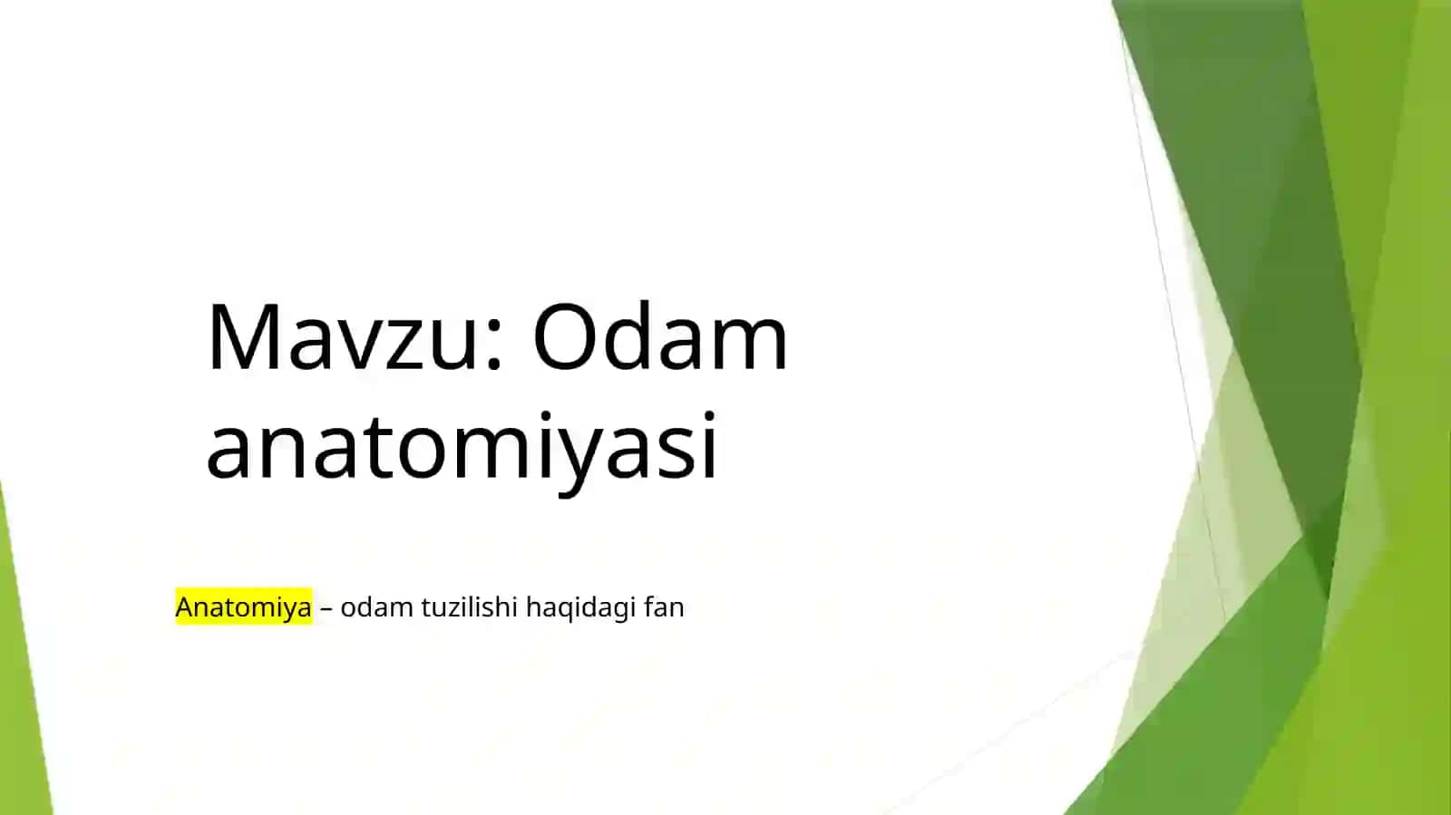 Odamanatomiyasi 2