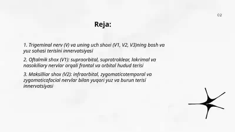 Bosh va yuz sohasi terisining innervatsiyasi 2