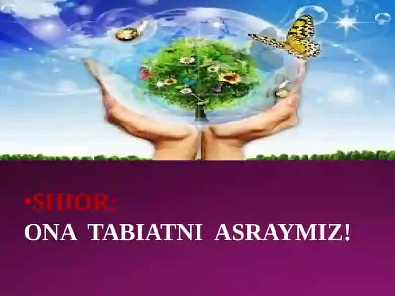 Ozonqatlami 2