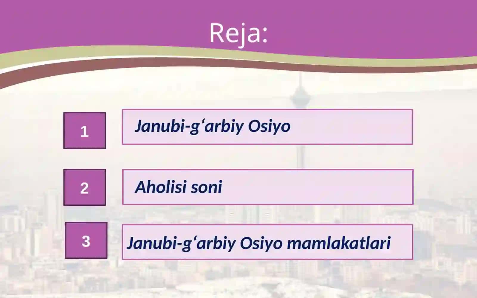 Janubi-g‘arbiy Osiyo mamlakatlariningiqtisodiy-geografik tavsifi 2