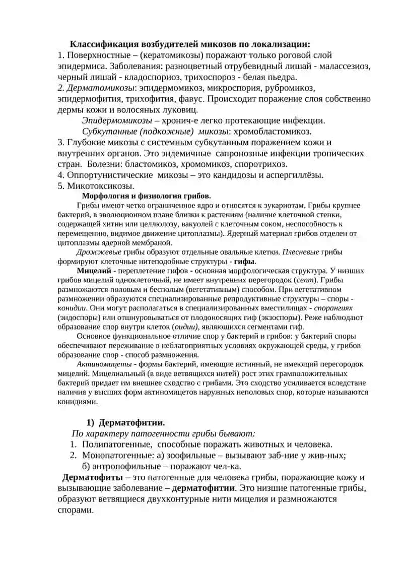 ГРИБЫ И ПРОСТЕЙШИЕ: ОСОБЕННОСТИ МОРФОЛОГИИ И ЖИЗНЕДЕЯТЕЛЬНОСТИ 2