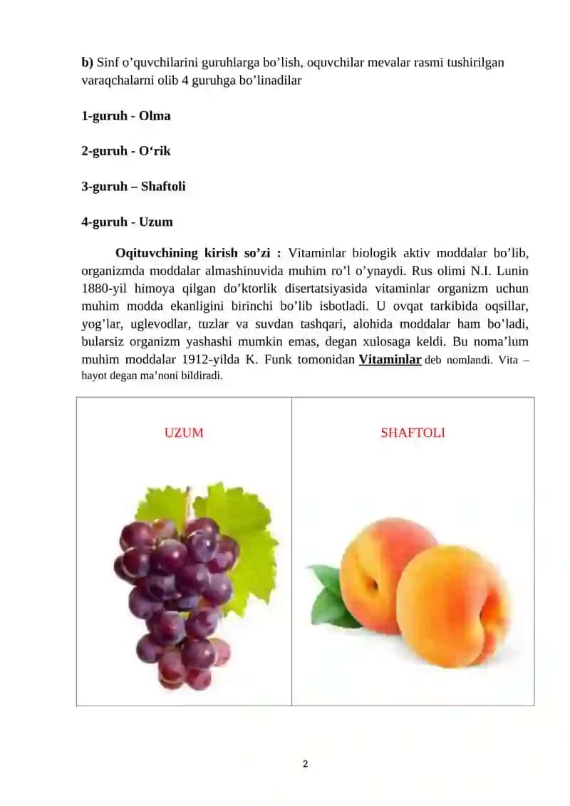 Vitaminlar 2