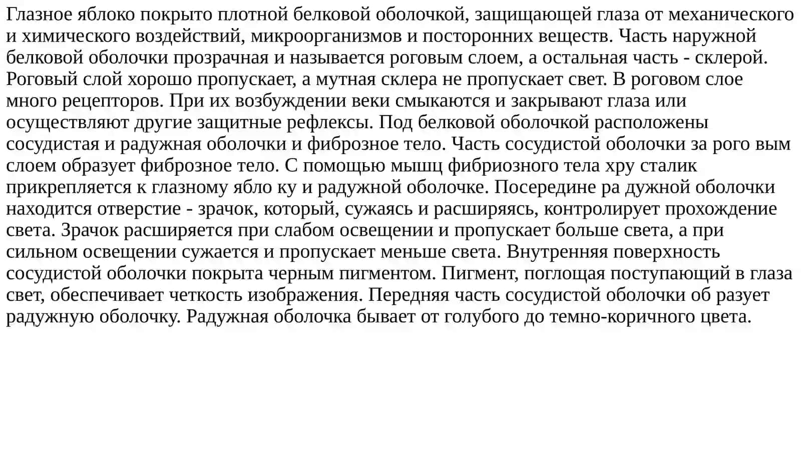 Глазное яблоко 2
