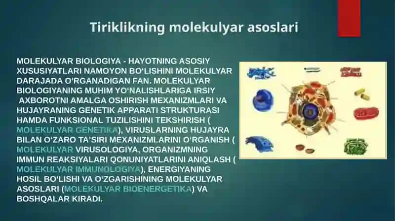 Tiriklikning molekulyar asoslari. Nuklein kislotalar va irsiy belgilarning nasldan-naslga o’tishdagi roli. 2