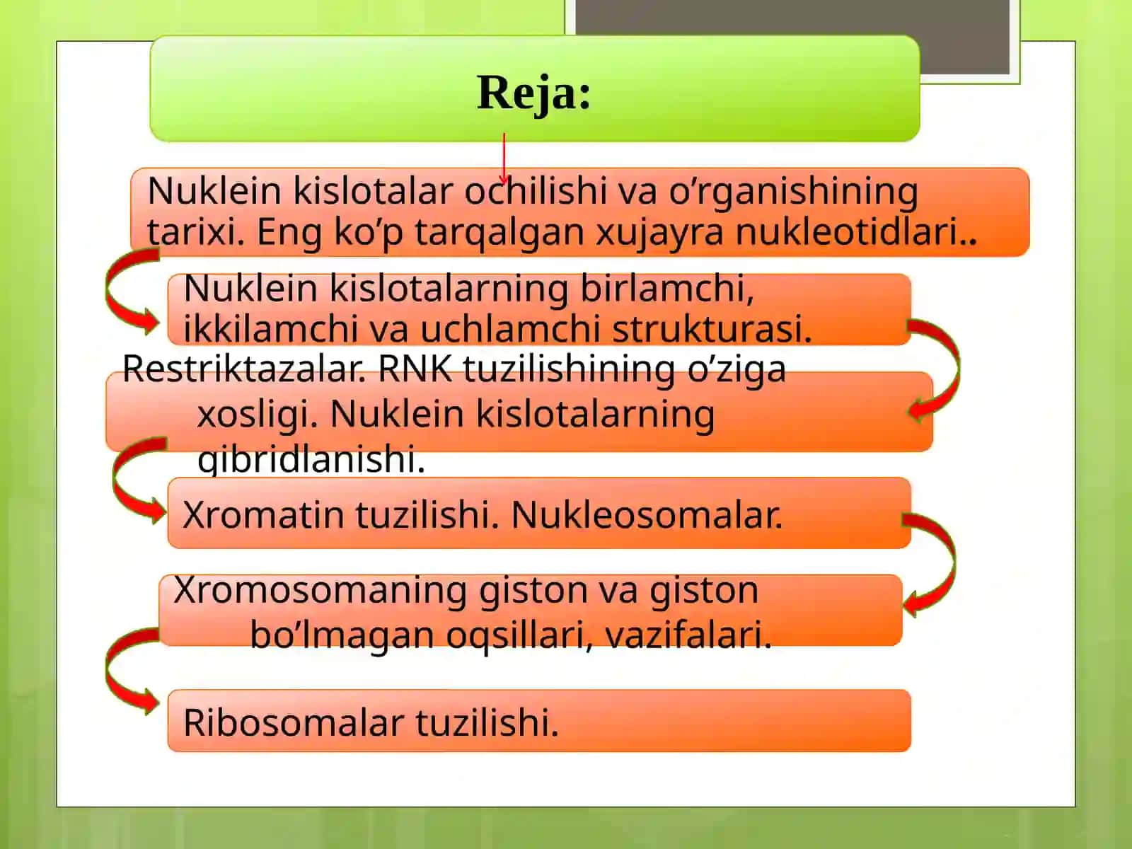 Nuklein kislotalarning tuzilishi,nuklein asoslari,nukleozidlar,mononukleotidlar. 2