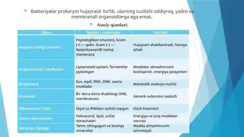 Bakteriya hujayrasining tuzilishi va kimyoviy tarkibi 2