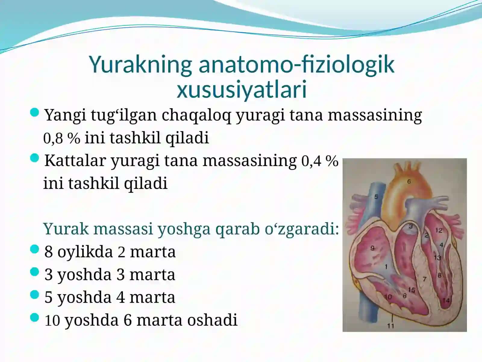 BOLALARDA YURAK-QON TOMIR TIZIMINING ANATOMO-FIZIOLOGIK XUSUSIYATLARI 2