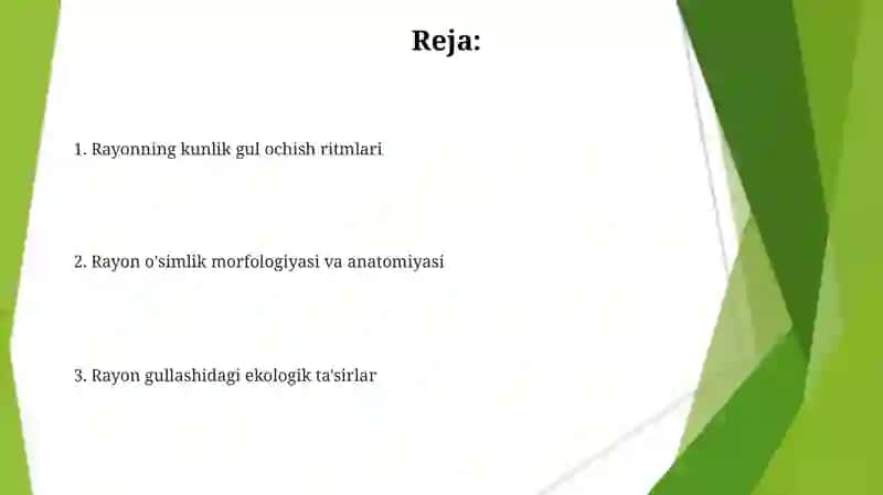 Rayxonoʻsimligivauningsutkalikgullashdinamikasi 2