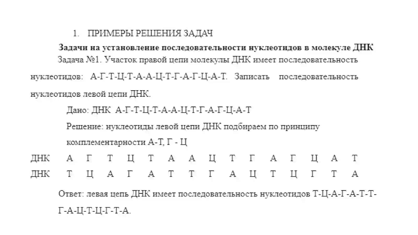 Решение задач на определение последовательности нуклеотидов 2