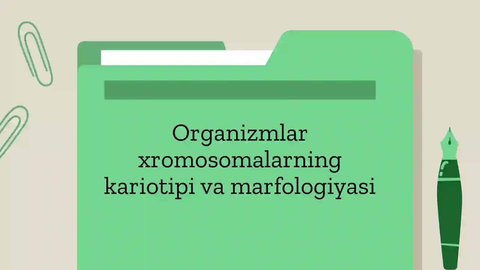Organizmlar xromosomalarning kariotipi va marfologiyasi 2