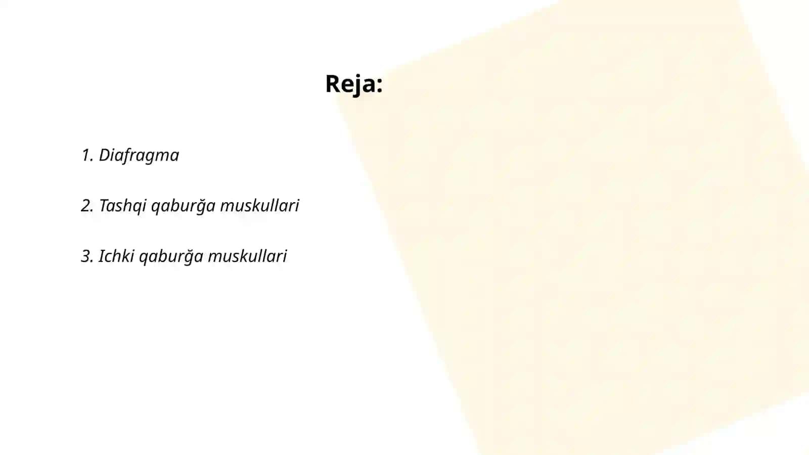 Diafragma 2