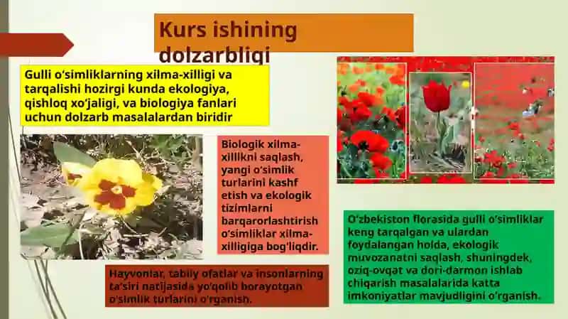 GULLI O’SIMLIKLARNING XILMA-XILLIGI VA TARQALISHI 2