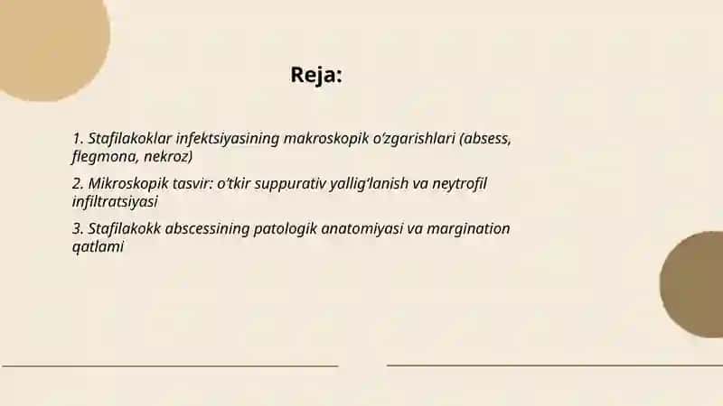 Stafilakoklar patalogik anatomiyasi 2