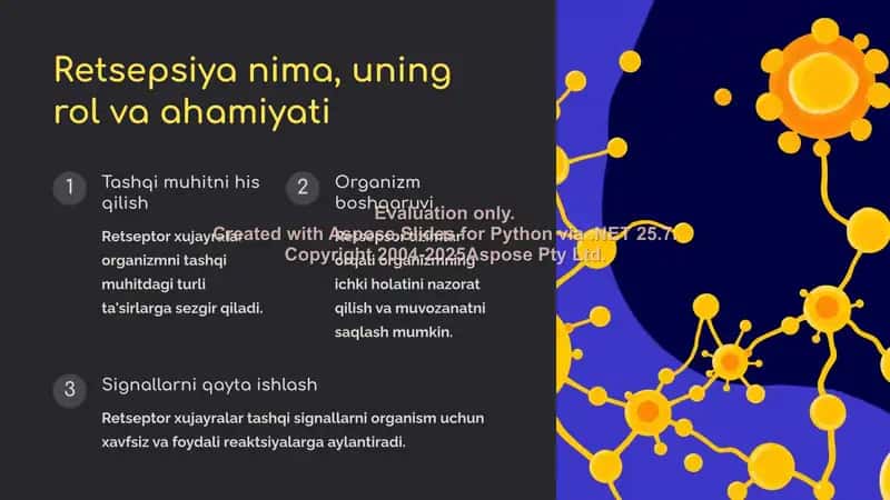 Retsepsiya, retseptor xujayralar, tuzilishi va faoliyatlari 2