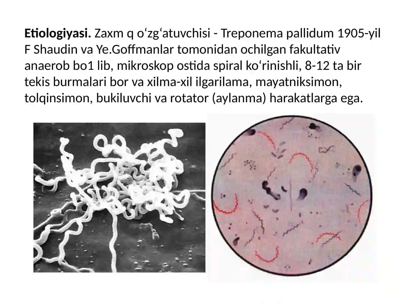 Zaxm diagnostikasi 2